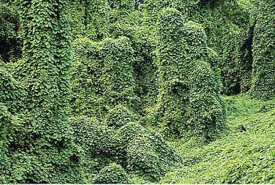 战术回合制游戏《暴君的祝福》8月8日发售 支持中文